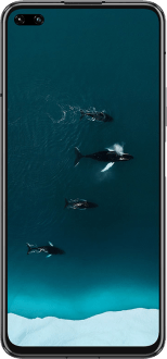 Honor View 30 Pro - Detaylı Teknik Özellikleri