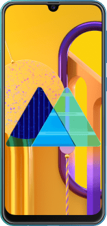 Samsung Galaxy M30s (SM-M307FN/DS) (SM-M307FN/DS) - Detaylı Teknik Özellikleri