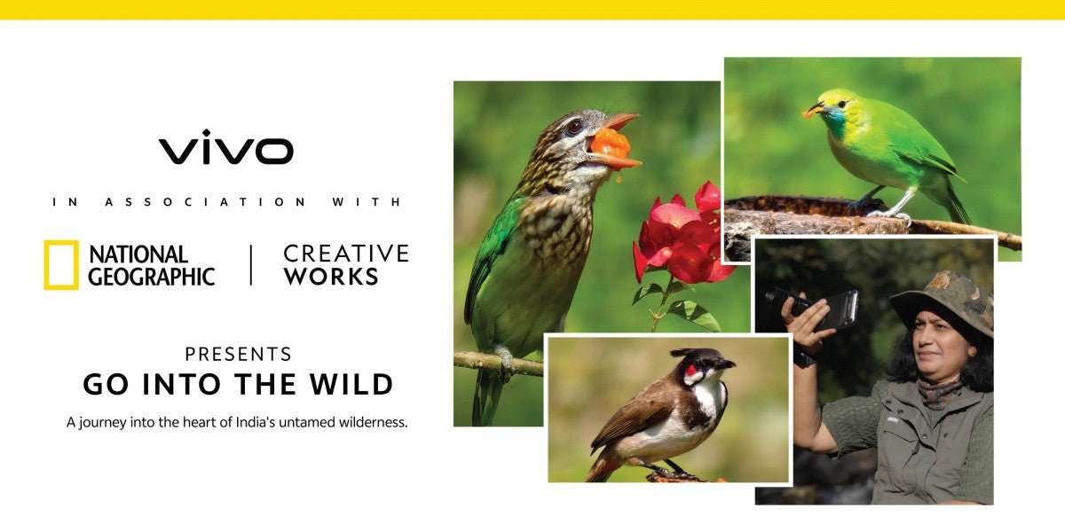 vivo X300 ve X300 Pro, National Geographic ile doğaya çıkıyor